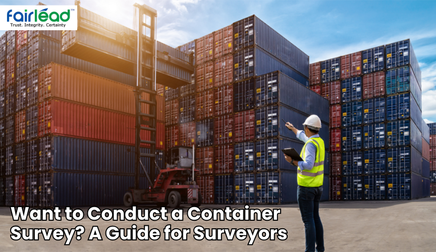 Want to Conduct a Container Survey? A Guide for Surveyors